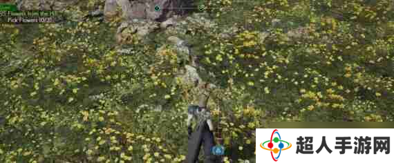 最终幻想7重生山丘上绽放的花刷新地点