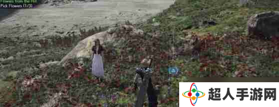最终幻想7重生山丘上绽放的花刷新地点