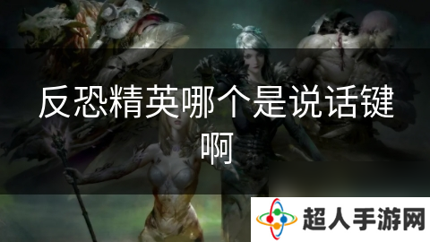 反恐精英哪个是说话键啊