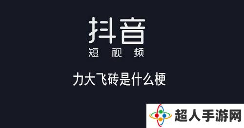 网络用语力大砖飞是什么梗