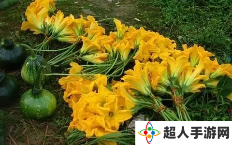 网络用语花里花气的瓜是什么梗