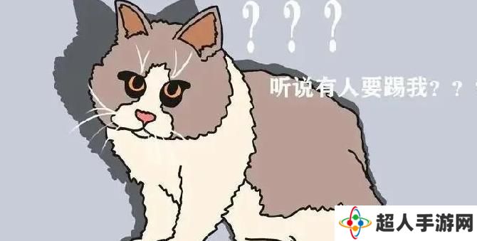 网络用语弃猫效应是什么梗
