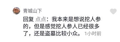 网络用语长白山盗墓是什么梗