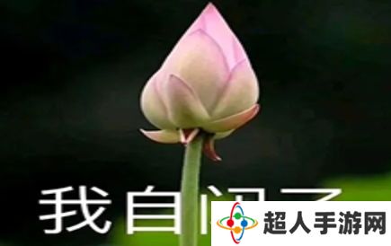 网络用语开始自闭是什么梗