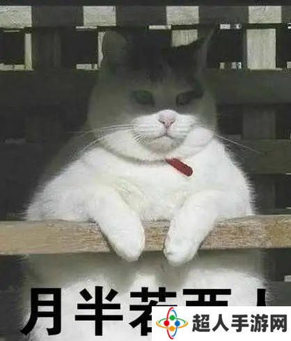 网络用语不胖警告是什么梗