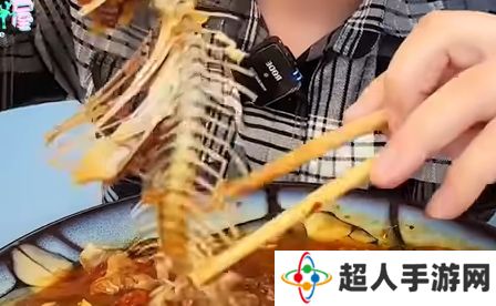 网络用语速食主义者是什么梗