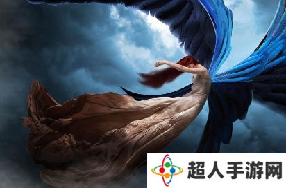 网络用语折翼的天使是什么梗