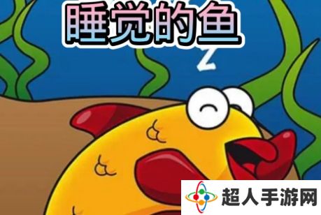 网络用语会睡觉的鱼是什么梗