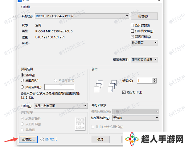 选择正确的打印选项