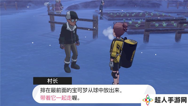宝可梦剑盾冠之雪原怎么让宝可梦跟随自己