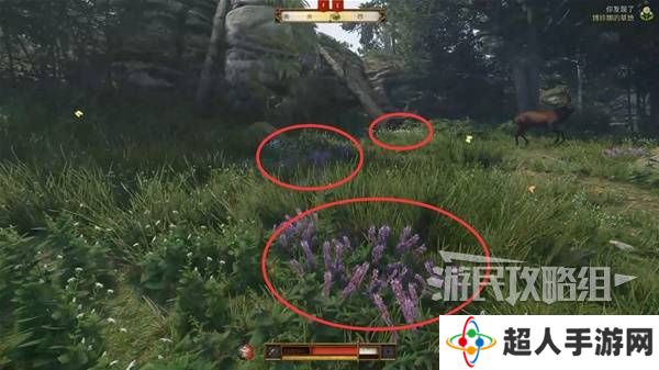 天国拯救2图文攻略大全   所有任务全流程攻略总汇图片29