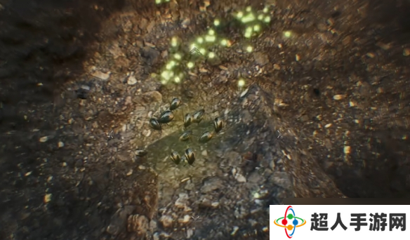 《怪物猎人荒野》雷光虫位置介绍