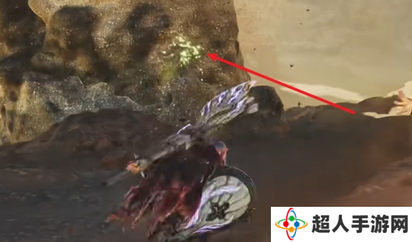 《怪物猎人荒野》雷光虫位置介绍