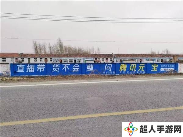 腾讯元宝“刷墙”下乡：AI服务走进农村，解决母猪产后护理到直播带货难题