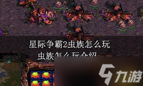 星际争霸2虫群之心：全面解析农民数量与高效采集策略
