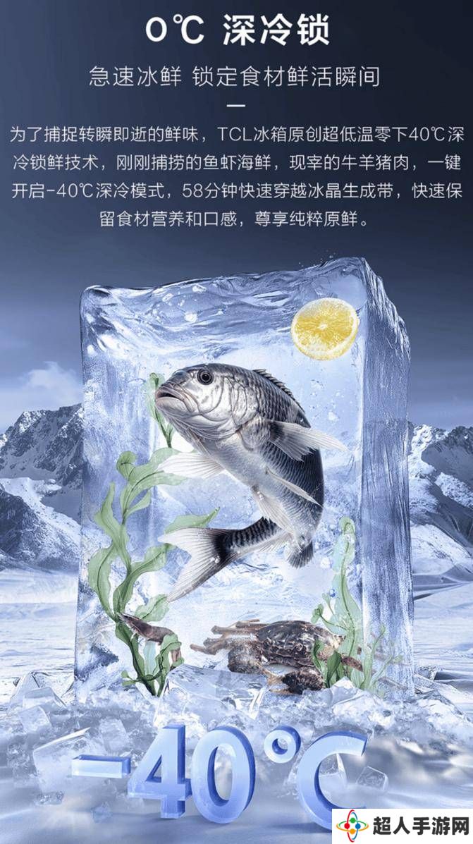 TCL冰麒麟深冷冰箱：极寒锁鲜，真双系统，打造健康储鲜新境界