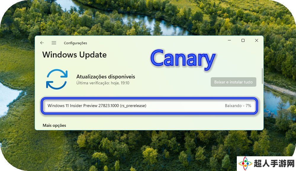 微软 Win11 Canary 27823 预览版发布：设置引入系统信息卡片，修复文件管理器菜单方向错开问题