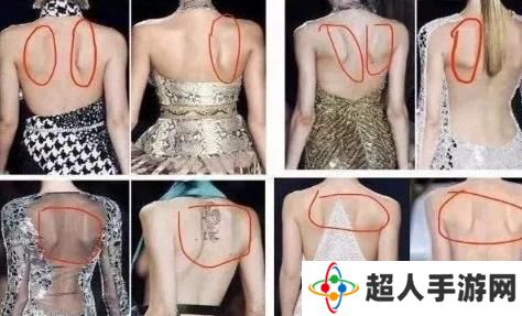 网络用语蝴蝶背是什么梗