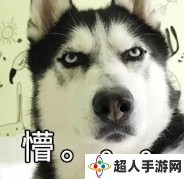 网络用语脑子瓦特了是什么梗
