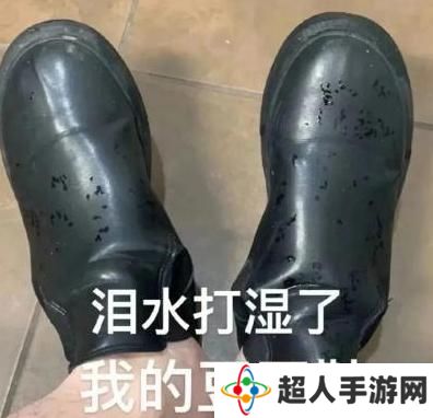 网络用语泪水打湿我的豆豆鞋是什么梗