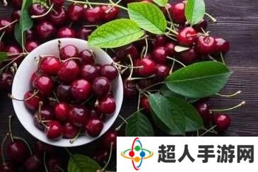 网络用语车厘子自由是什么梗