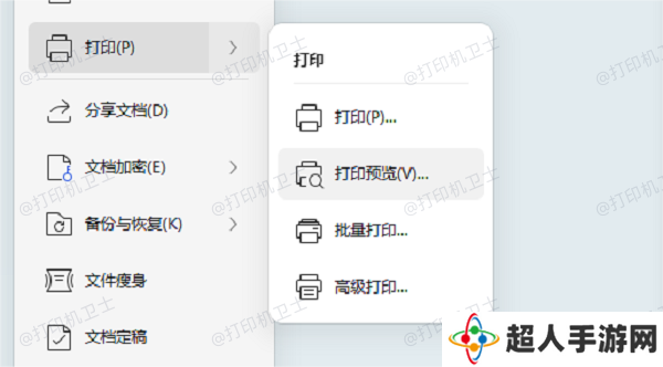 使用打印预览功能