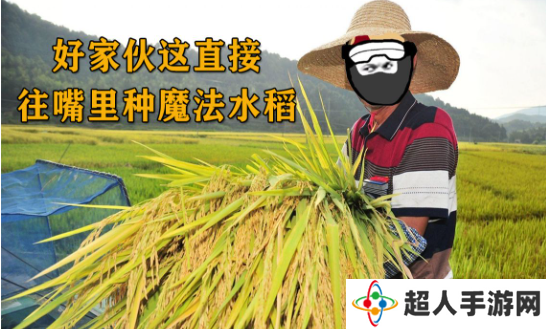 网络用语往嘴里种水稻是什么梗