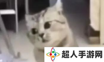 网络用语夹子变嘎子是什么梗