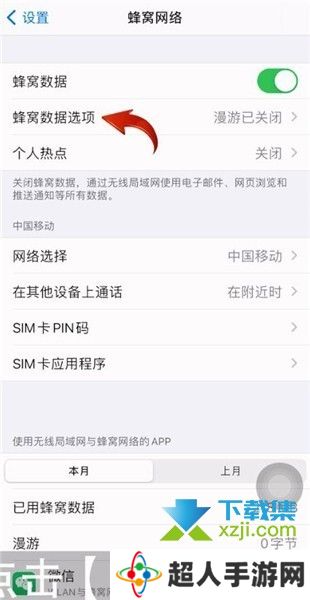 iPhone12手机怎么开启5G蜂窝数据网络